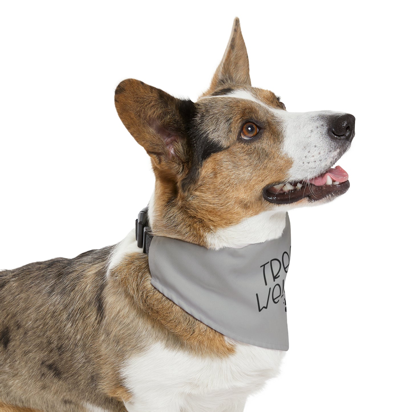 Treats Welcome Pet Bandana Collar
