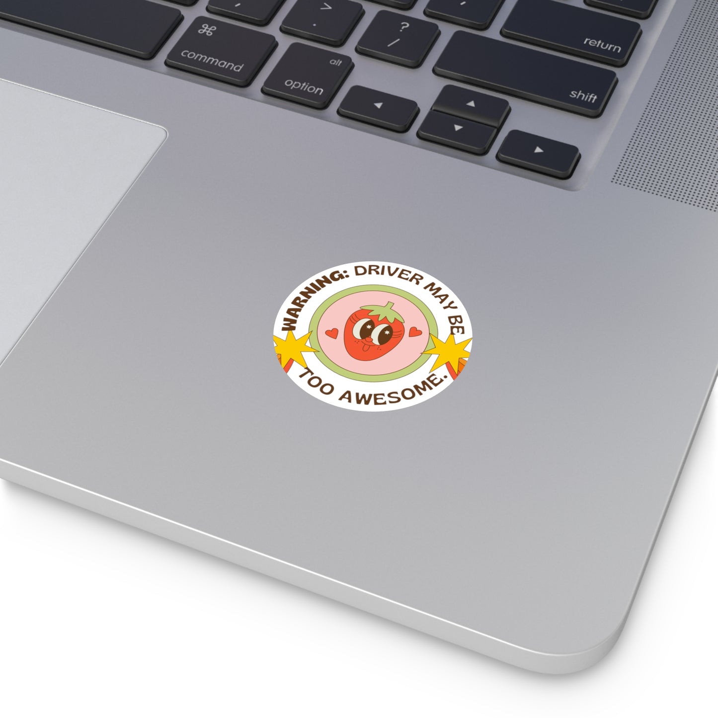 Too Awesome Round Vinyl Stickers